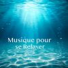 Download track Vagues Sur Le Rivage