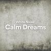 Download track Dreams Of White Noise Sound