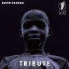 Download track Tribute (Original Mix)