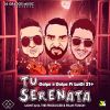 Download track Tu Serenata (Luigi 21 +)