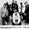 Download track Wings Of The Morning (Betterquality Acapella)