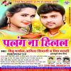 Download track Raja Chadal Ba Jawani