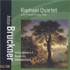 Download track Rondo For String Quartet In C Minor (1862)