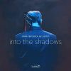 Download track Into The Shadows