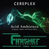 Download track Acid Ambience (Radio Mix)