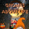 Download track Gnomes On The Range