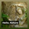 Download track Slow Nature Rain