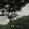 Download track 错过的爱错过的人 (DJ沈念remix伴奏)