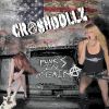 Download track Punks In Amerika