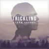 Download track Morning Wildlife