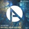 Download track Will Win Your Essence (Original Mix)