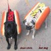 Download track Hot Dog