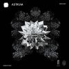 Download track Astrum