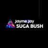 Download track Suga Bush (Original Mix)