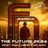 Download track The Future 2K24 (Nicky Sun & Deestylez Rmx Extended Mix)