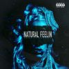 Download track Natural Feelin