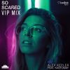 Download track So Scared (VIP Mix)