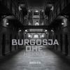 Download track Burgosja