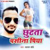 Download track Fortuner Se Aawatare Saiya