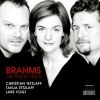 Download track Piano Trio No. 1 In B Major, Op. 8 (Revised 1889 Version) - III. Adagio