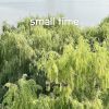 Download track Small Time