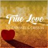 Download track True Love (Radio Edit)