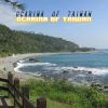 Download track Ocarina Of Taiwan (Salaamaloha)