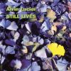 Download track Still Lives V. Two Floor Tiles