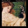 Download track Vanishing Dream