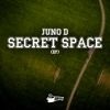 Download track Secret Space