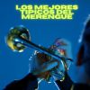 Download track Los Mejores Tipicos Del Merengue