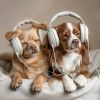 Download track Playful Canine Chords