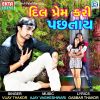 Download track Dil Prem Kari Pachhtay