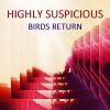 Download track Birds Return