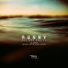 Download track Runny (Antoine Vama & Daniel Hooker Remix)