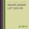 Download track Never Gonna Let You Go (Instrumental)