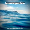 Download track Meeresrauschen Ohne Musik Für Reiki