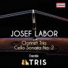 Download track Labor: Clarinet Trio In E Minor: III. Adagio Ma Non Troppo