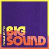 Download track Big Sound