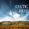 Download track Saint Patrick's Day