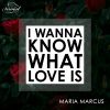 Download track I Wanna Know What Love Is