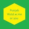 Download track Punjab Wstd. W. Me Or You (Slowed Remix)