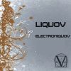 Download track Lived (Version Electroniquov)