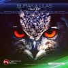 Download track Owl (Volkan Erman Remix)