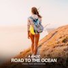 Download track Road To The Ocean (Nikita Galin Remix)