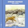 Download track African Fish Eagle (Pygargue Vocifer)