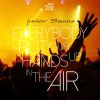 Download track Everybody Put Your Hands Up In The Air (Aurel Devil Remix)