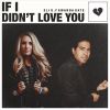 Download track If I Didn't Love You