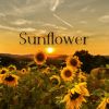 Download track Sunflower Epilogue