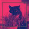 Download track Number One Ambiance For Home Cats